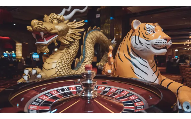 dragon tiger live casino​ featured image